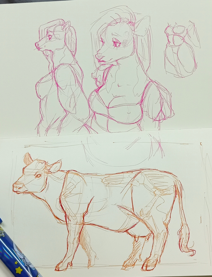    ,  , , , , , , Furry Cow