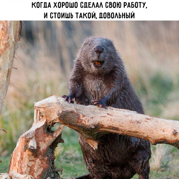    , ,  , 