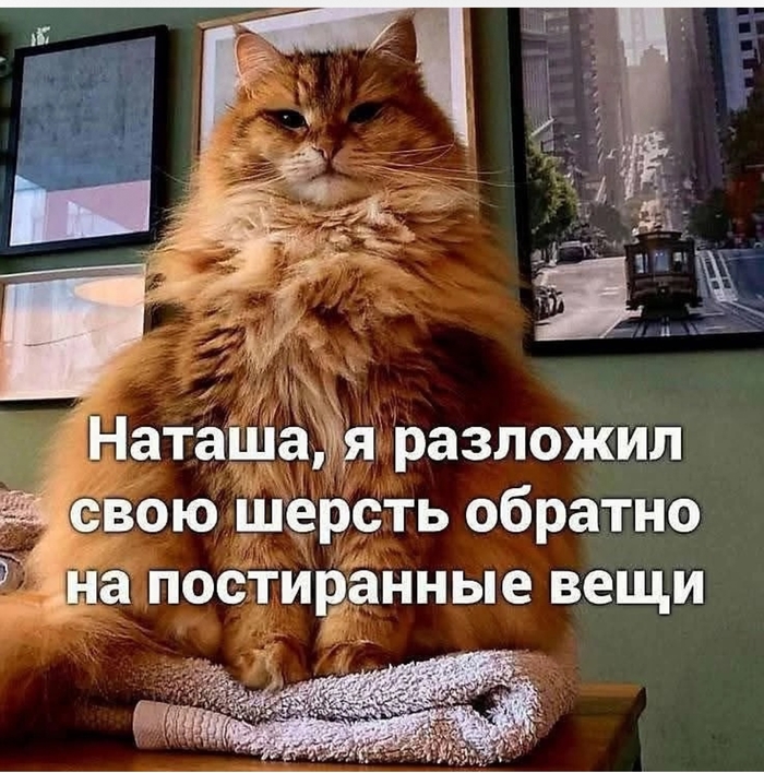      , , ,  , , , , , ,  , , , 